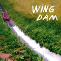 the album cover for Wing Dam - Glow Ahead