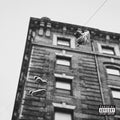 the album cover for Skyzoo & 9th Wonder - The Easy Truth [Vinyl]
