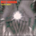 the album cover for Melt-Banana - Teen Shiny