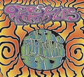the album cover for Ozric Tentacles - At The Pongmaster's Ball