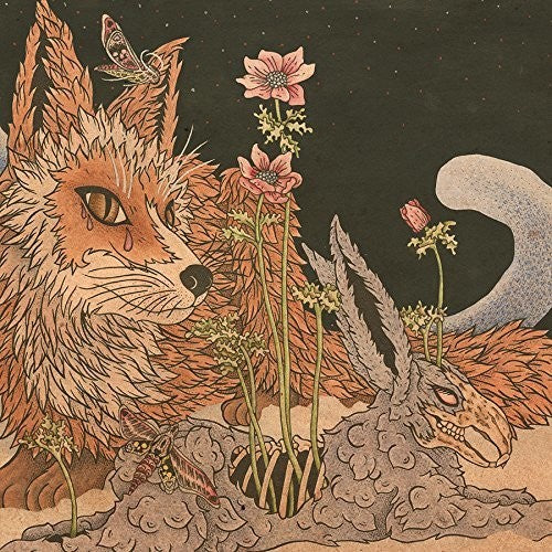 the album cover for Planes Mistaken For Stars - Prey [Vinyl]