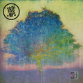 the album cover for Eric Johnson - EJ [Vinyl]