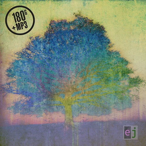 the album cover for Eric Johnson - EJ [Vinyl]
