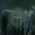 the album cover for Thomas Giles - Velcro Kid [2CD]