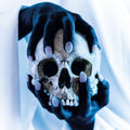 the album cover for Gost - Possessor