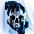 the album cover for Gost - Possessor