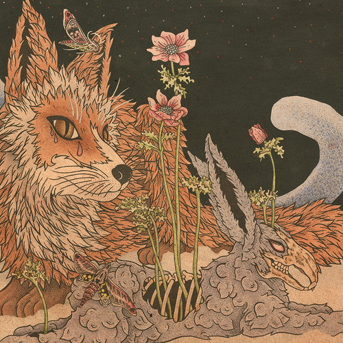 the album cover for Planes Mistaken For Stars - Prey [Indie Exclusive]