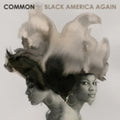 the album cover for Common - Black America Again
