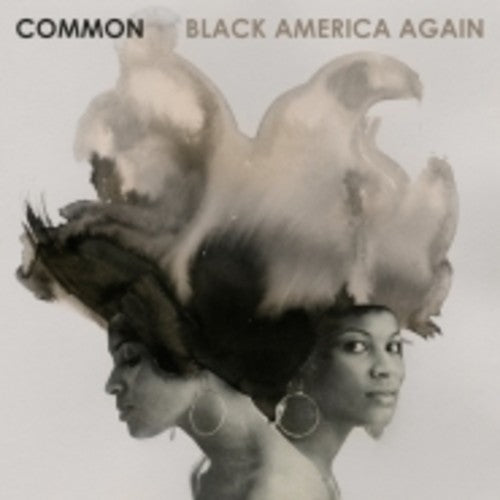 the album cover for Common - Black America Again