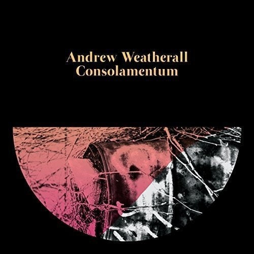 the album cover for Andrew Weatherall - Consolamentum