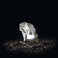 the album cover for Vanishing Life - Surveillance