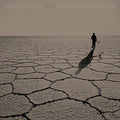 the album cover for Adam Bryanbaum Wiltzie - Salero