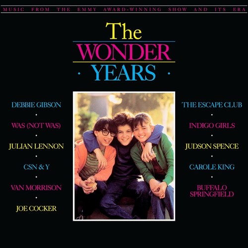 the album cover for Various Artists - The Wonder Years: Music From The Emmy Award-Winning Show And Its Era [LP]
