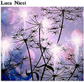 the album cover for Luca Nieri - Luca Nieri