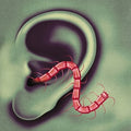 the album cover for Thee Oh Sees - Odd Entrances [Vinyl]