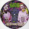the album cover for Twiztid - Are You Insane Like Me?