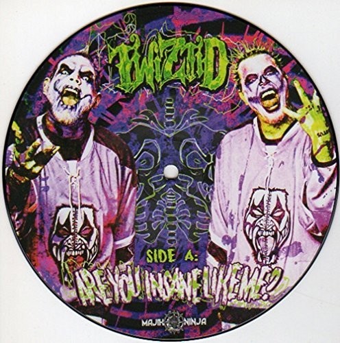 the album cover for Twiztid - Are You Insane Like Me?