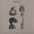 the album cover for Roberto Musci - Tower Of Silence