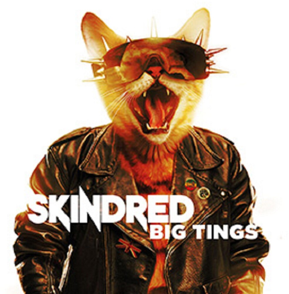 the album cover for Skindred - Big Tings