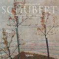 the album cover for Marc Hamelin Andre - Schubert: Piano Sonata & Impromptus