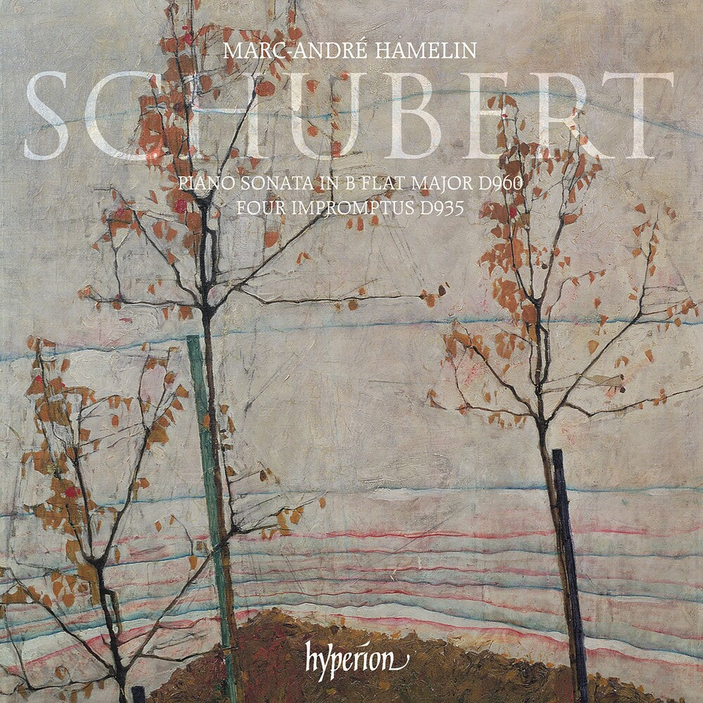 the album cover for Marc Hamelin Andre - Schubert: Piano Sonata & Impromptus