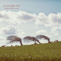 the album cover for The Pineapple Thief - What We Have Sown