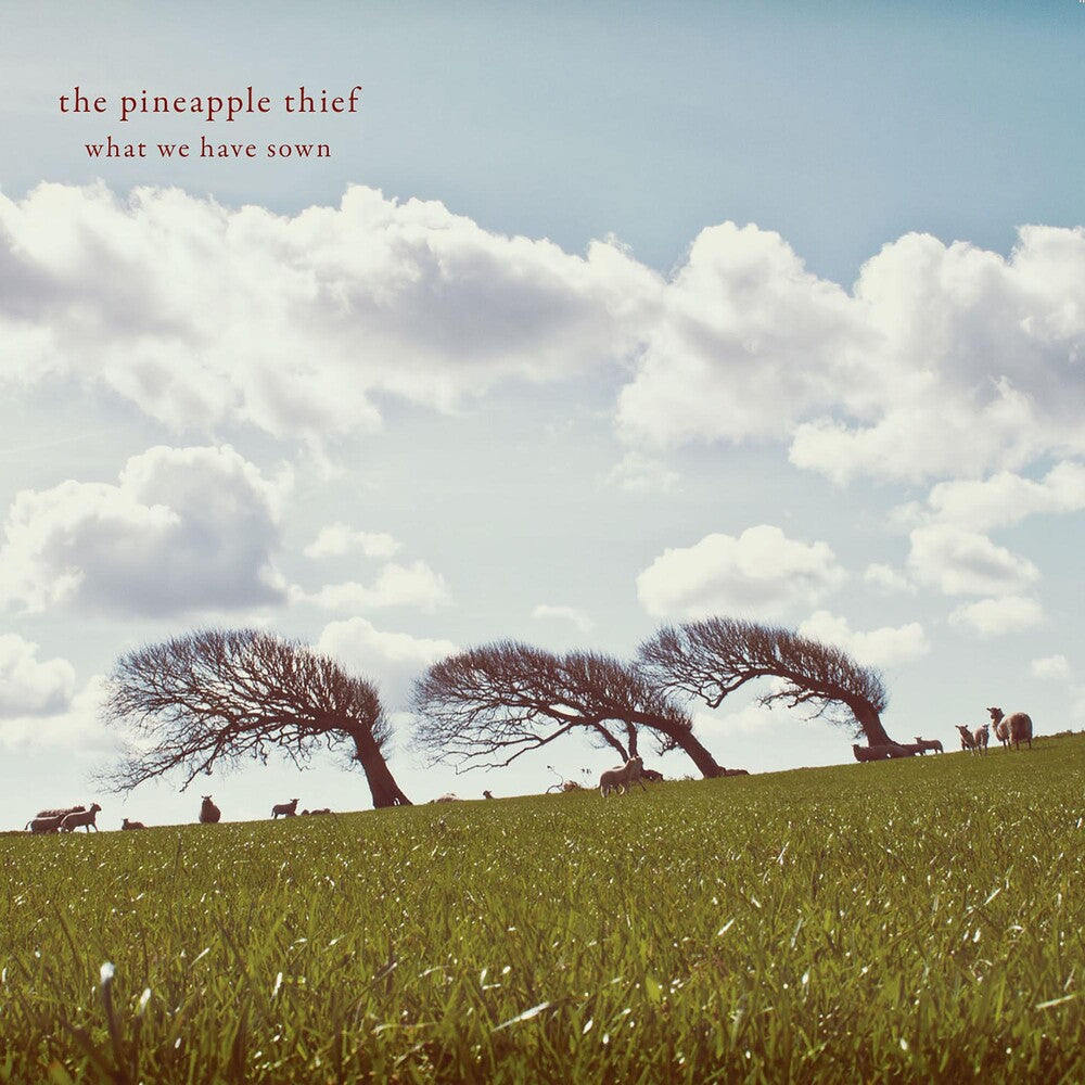 the album cover for The Pineapple Thief - What We Have Sown