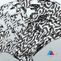 the album cover for Aa - Zebraa