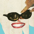 the album cover for Black Moth Super Rainbow - Panic Blooms [LP]