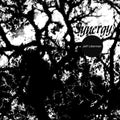 the album cover for Jeffery Liberman - Synergy
