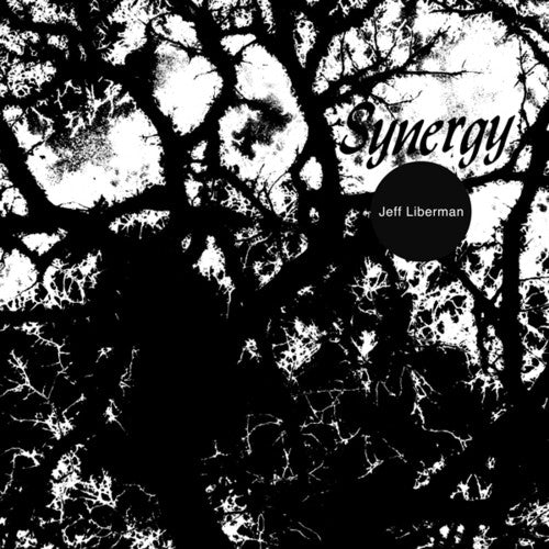 the album cover for Jeffery Liberman - Synergy
