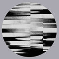 the album cover for Landslide - Signs Of Change