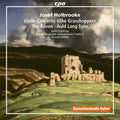 the album cover for Holbrooke / Ingolfsson / Griffiths - Josef Holbrooke: Violin Concerto / The Raven / Auld Lang Syne