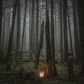 the album cover for Baptists - Beacon Of Faith