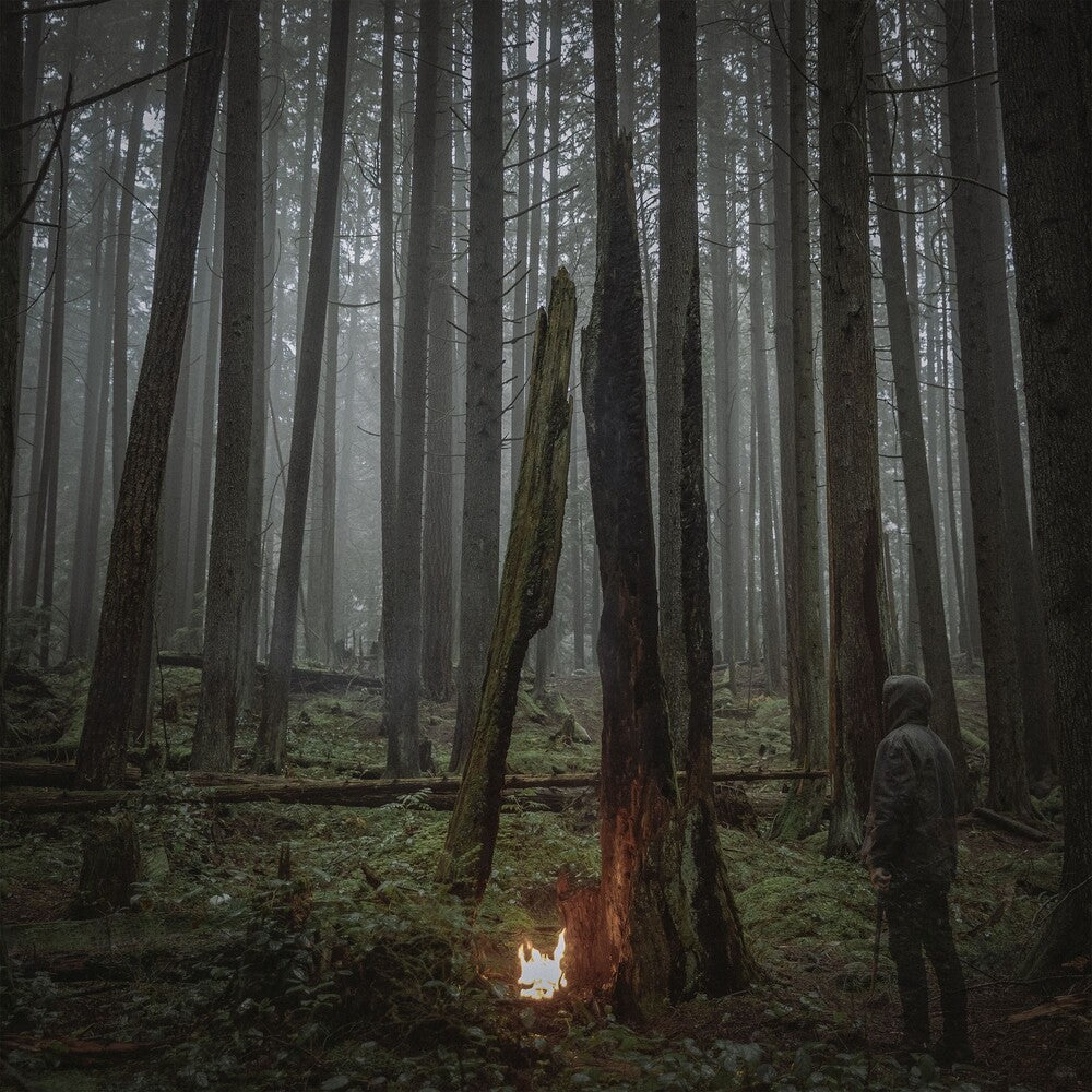 the album cover for Baptists - Beacon Of Faith