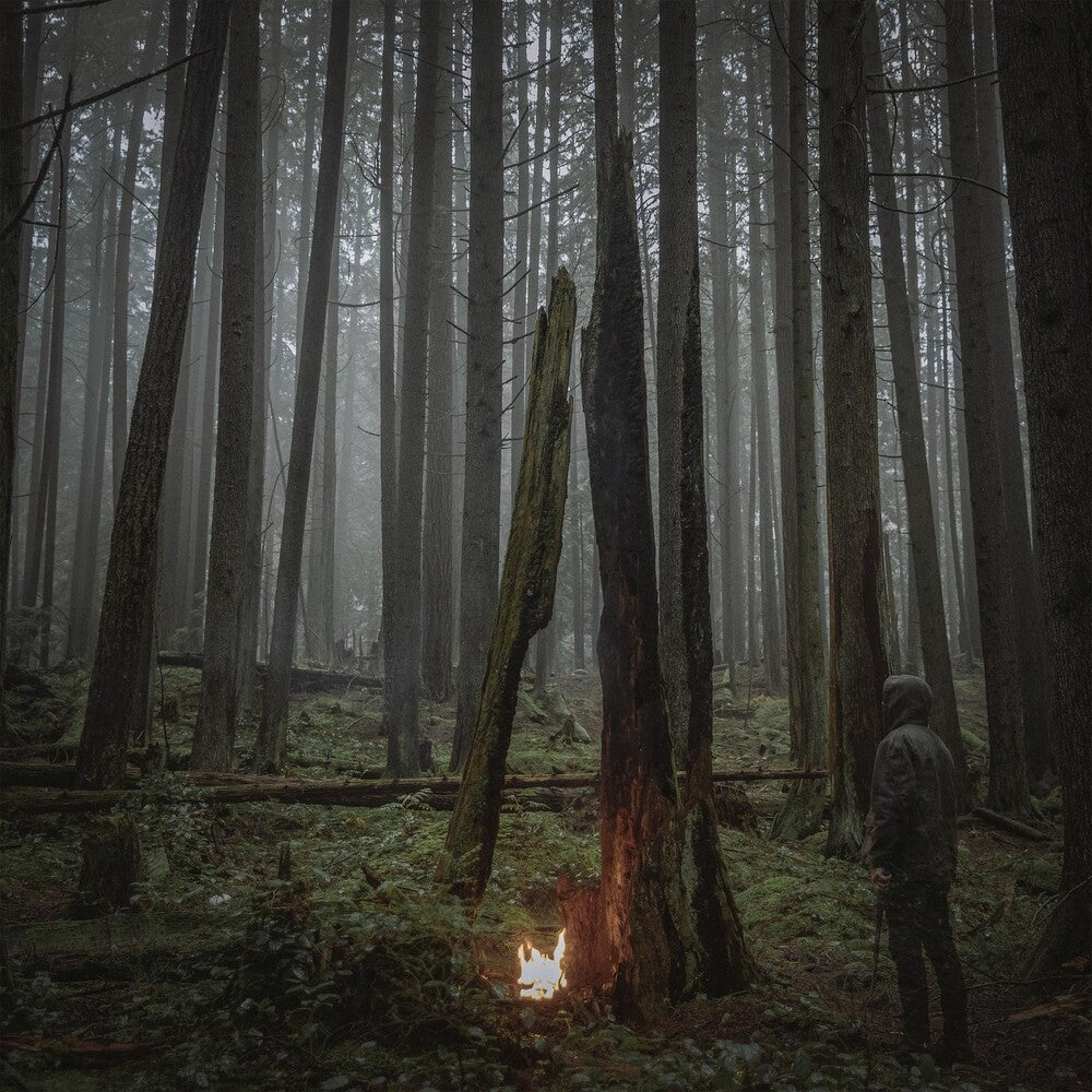 the album cover for Baptists - Beacon Of Faith