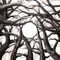 the album cover for Svalbard - It's Hard To Have Hope