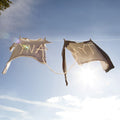 the album cover for Sorority Noise - Ynaayt