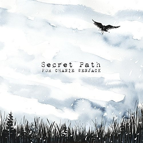 the album cover for Gord Downie - Secret Path