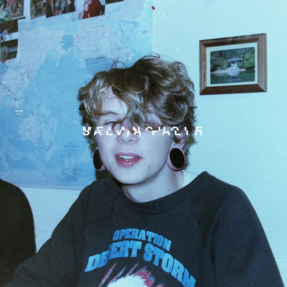 the album cover for Salvia Palth - Melanchole