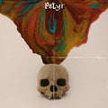 the album cover for Petyr - Smolyk
