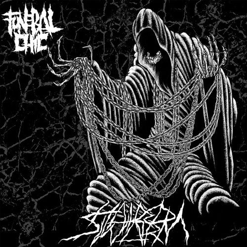 the album cover for Funeral Chic - Hatred Swarm