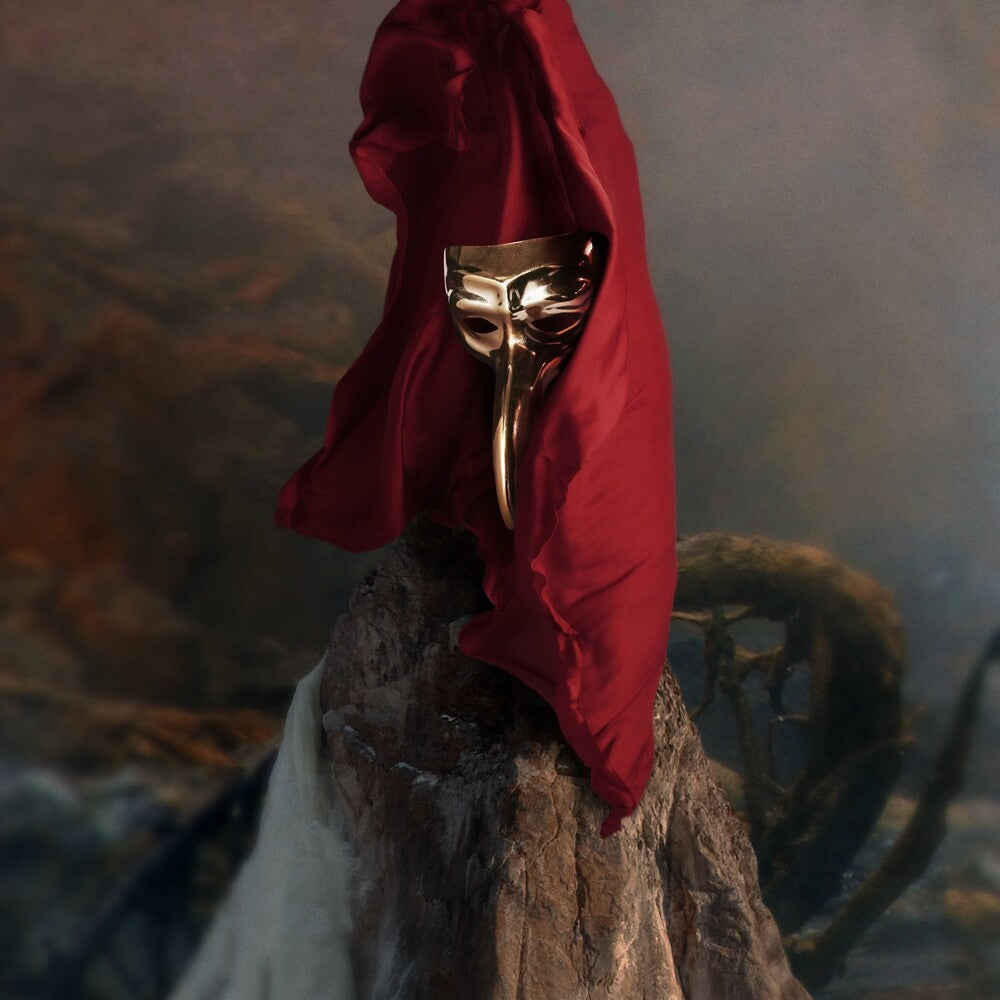 the album cover for Claptone - Fantast