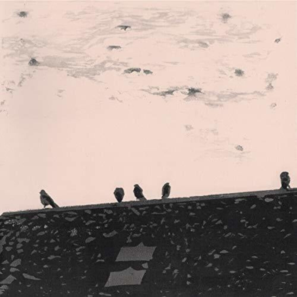 the album cover for Stuart Staples A - Arrhythmia