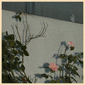 the album cover for Soft Kill - Savior