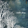 the album cover for Wintersleep - Wintersleep