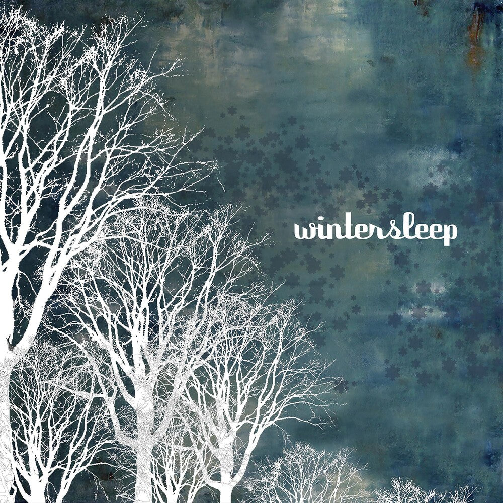 the album cover for Wintersleep - Wintersleep