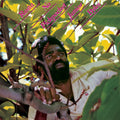the album cover for Junior Byles - Rasta No Pickpocket