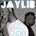 the album cover for Jaylib - Champion Sound: The Remix [Limited Edition Vinyl]
