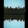 the album cover for Maggie Rogers - Now That The Light Is Fading